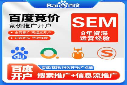 搜索引擎营销（SEM）成功案例详解